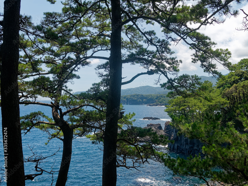 View of rocky cliffs with pine trees in Jogasaki coast in Izu, Japan. Columnar joints were formed by rapid cooling lava by the sea water. Oyodo Koyodo tide pools are seen.