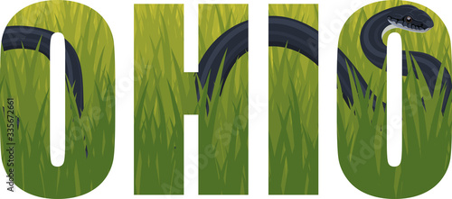 vector Ohio - American state word with Black Racer snake