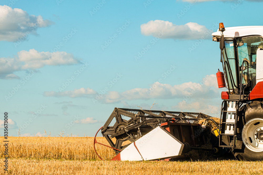 Fototapeta premium Cutter platform at work. Reaping machine. Side view combine harvester.
