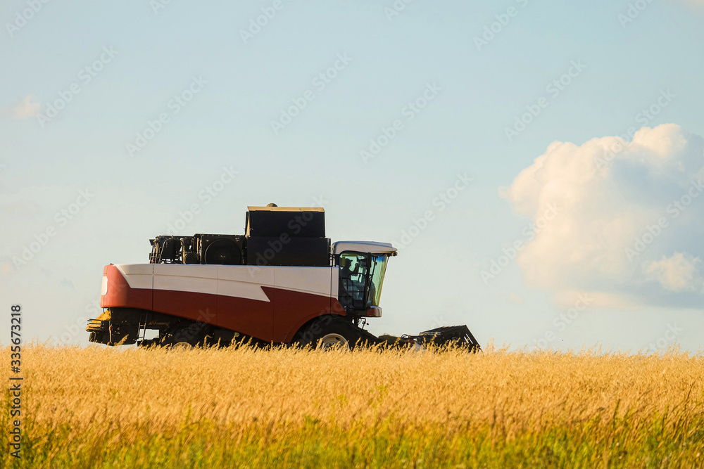 Reaping machine. Combine harvester in the field during the harvest ...