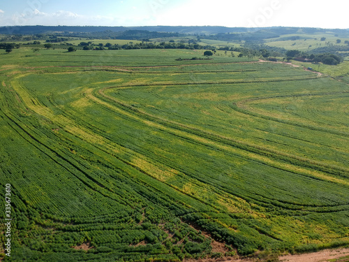 Aerial view of green soybean fiel in Brazil © AlfRibeiro