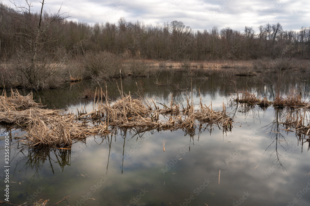 Image of a calm pond with reflections and cloudy sky during spring