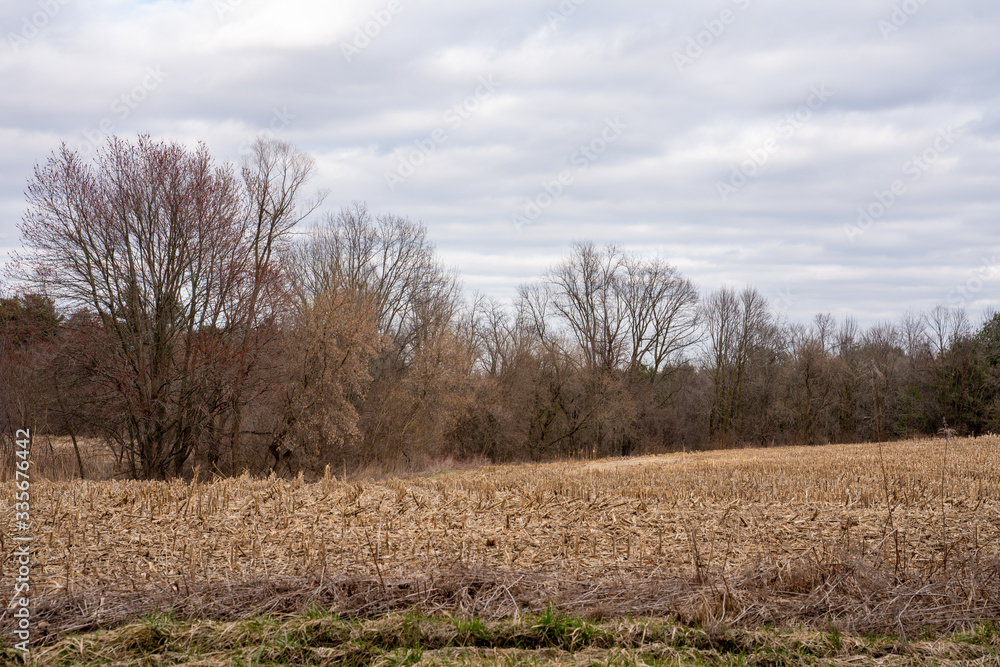 Farmland with Trees in Early Spring with Cloudy Skies Farmland with Trees in Early Spring with Cloudy Skies