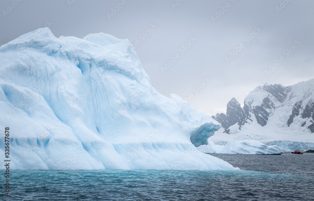 Cuverville Island, early morning