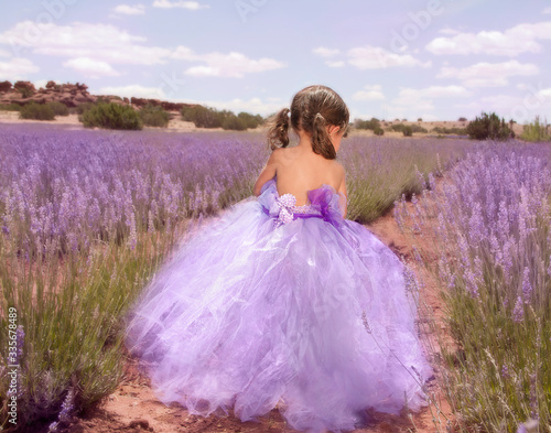 Child in lavender fields