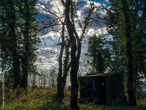 An old hut in the woods, with the sun rising behind the trees
