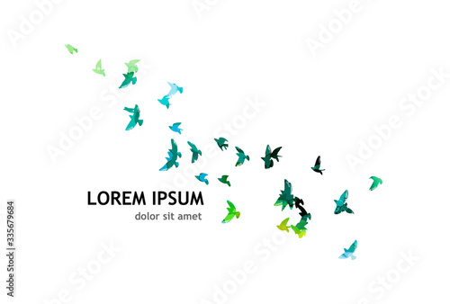 Multi-colored birds. A flock of flying rainbow birds. A lot of soaring birds. Mixed media. Vector illustration