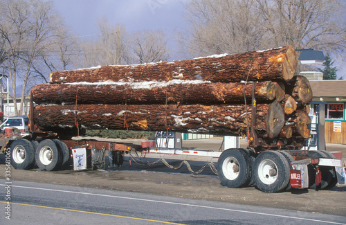 A logging truck driving down a highway