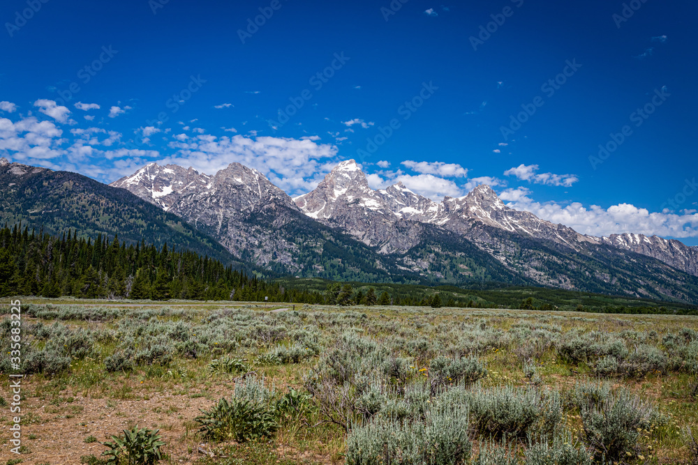 Fototapeta premium Grand Teton Mountain Range