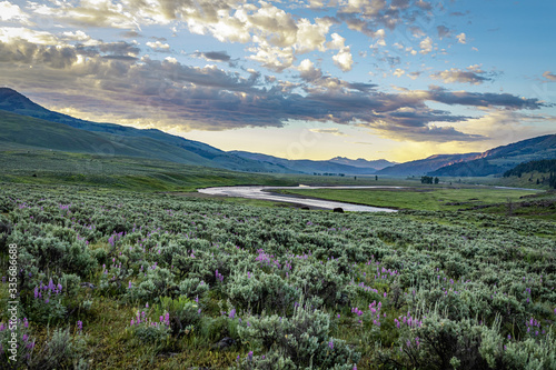 Lamar River Yellowstone National Park