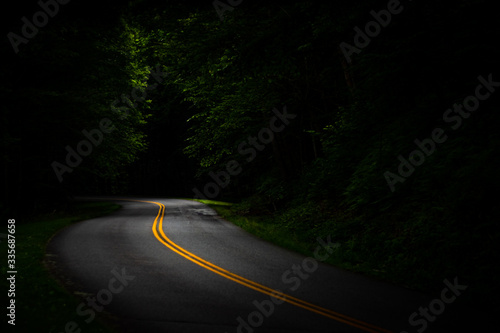 Windy Road in the Forest
