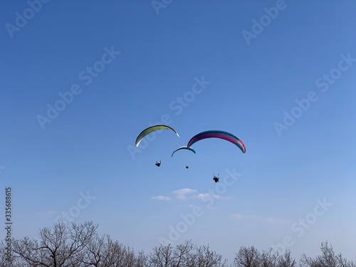 Fototapeta Naklejka Na Ścianę i Meble -  Paragliding fly at Hungary Harmashatar hill