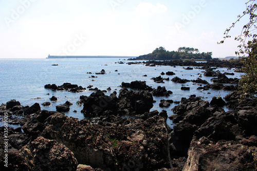 Jeju Olle Trail Route 7 : Beautiful Scenery of Jeju Island, Korea