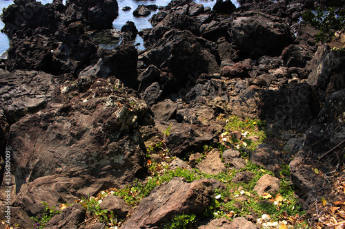 Jeju Olle Trail Route 7   Beautiful Scenery of Jeju Island  Korea