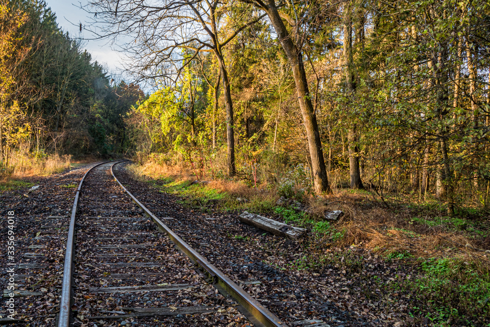 Autumn landscape of brightly colored woods with railroad tracks cutting through Autumn landscape of brightly colored woods with railroad tracks cutting through