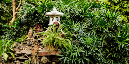 Japanese Zen garden