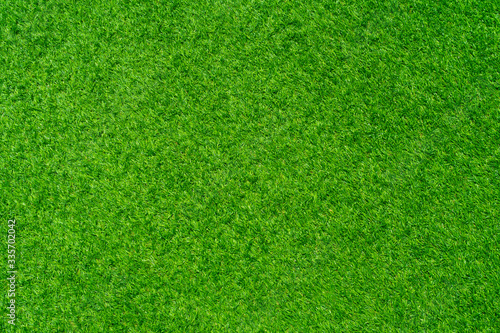 Beautiful Artificial grass
