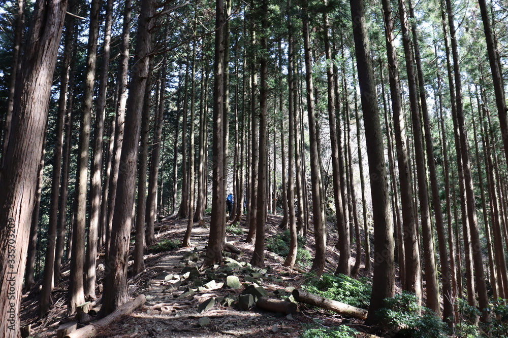 Obraz premium 竜ヶ岳 日本 景色 登山