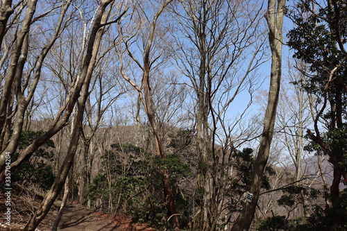 竜ヶ岳 日本 景色 登山