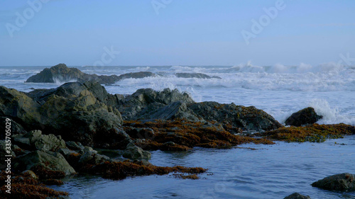 The wild and rocky coast of Shelter Cove