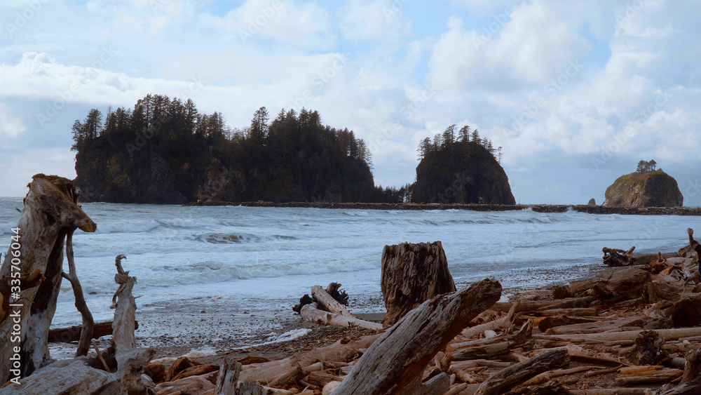 Wild La Push Beach with famous forested trail