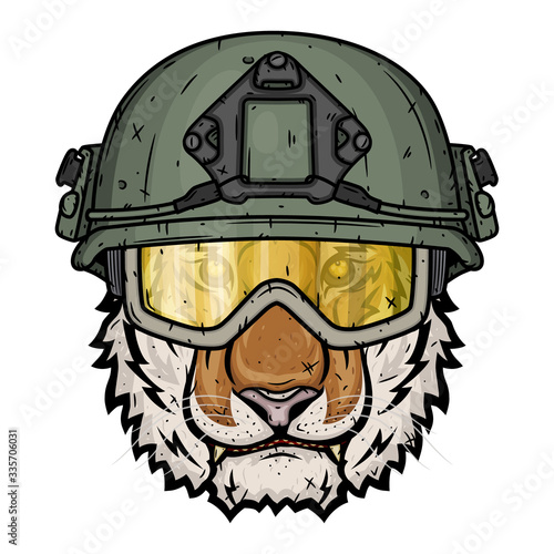 Photography Tiger the soldier isoleted on white background
