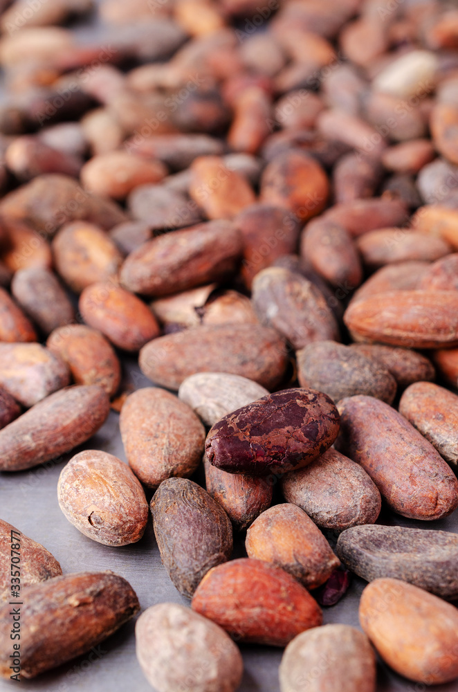 Roasted cocoa beans Roasted cocoa beans