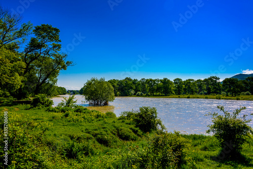 Fast-flowing large river with partially submerged trees. 
