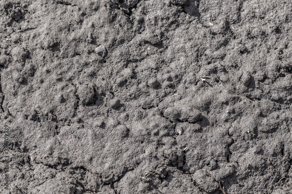 The surface of the black fertile land after snow melts. The surface of the black fertile land after snow melts.