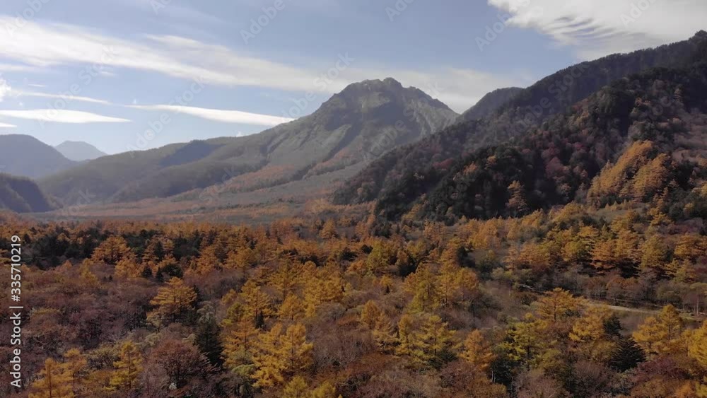 rising drone view of huge orange forest and mountains during fresh autumn rising drone view of huge orange forest and mountains during fresh autumn