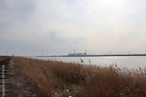 日本の川沿い