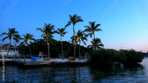 Illuminated palm trees at a bay in the Florida Keys - evening view