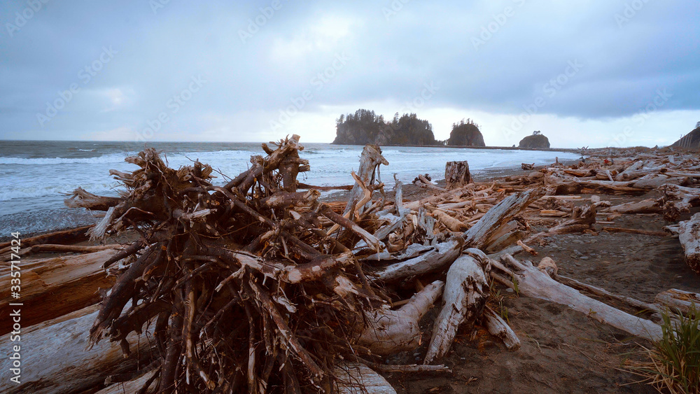 La Push - the famous beach at the Quileute Reservation La Push - the famous beach at the Quileute Reservation