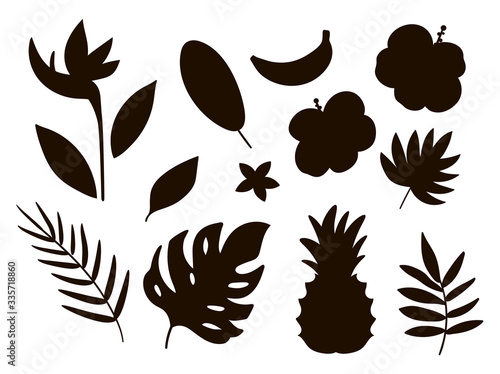 Vector tropical fruit, flowers and leaves silhouettes. Jungle foliage and florals black illustration. Hand drawn flat exotic plants shadows isolated on white background. Summer greenery stamp design.