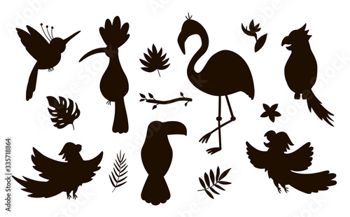 Vector cute exotic birds  leaves  flowers silhouettes isolated on white background. Funny tropical animals and plants illustration. Jungle summer stamp design.