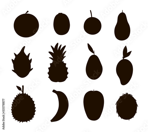 Vector tropical fruit and berries silhouettes. Jungle foliage black illustration. Hand drawn flat exotic plants isolated on white background. Healthy summer food stamp design..