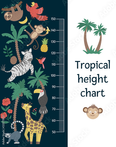 Vector cute height chart with exotic animals, birds, palm trees, leaves, flowers, fruits. Funny wall decoration with tropical monkey, zebra, lemur and plants. Jungle summer meter poster for kids.