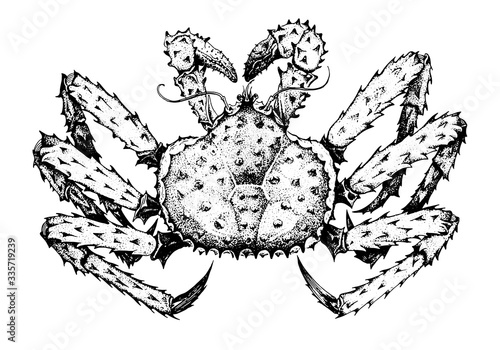 King crab. Kamchatka crab. Seafood, a set of templates for menu design, packaging, restaurants and catering. Hand drawn images