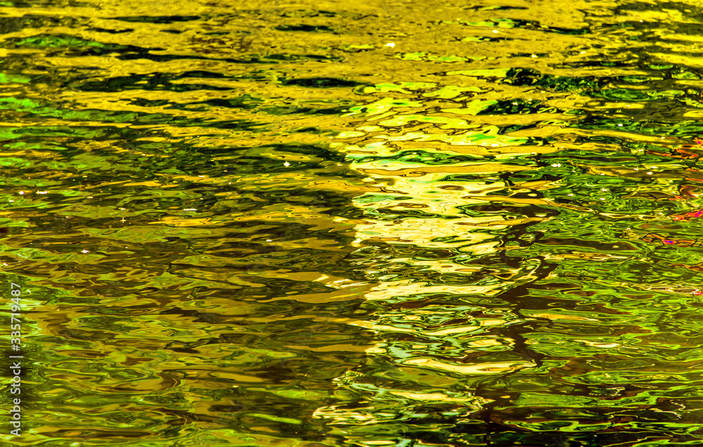 Reflections of lush green plants on a lake. An artsy shot. Reflections of lush green plants on a lake. An artsy shot.