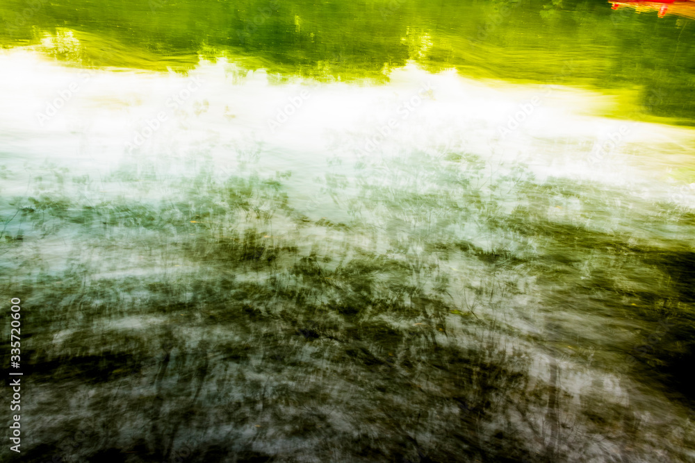 Reflections of lush green plants on a lake. An artsy shot. 