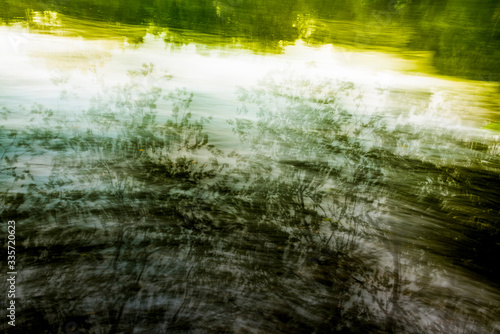Reflections of lush green plants on a lake. An artsy shot.  © Jim