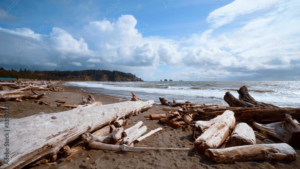 La Push - the famous beach at the Quileute Reservation La Push - the famous beach at the Quileute Reservation
