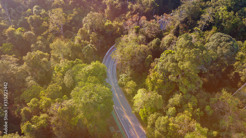 Top view Fantastic road among the green pines of an immense forest