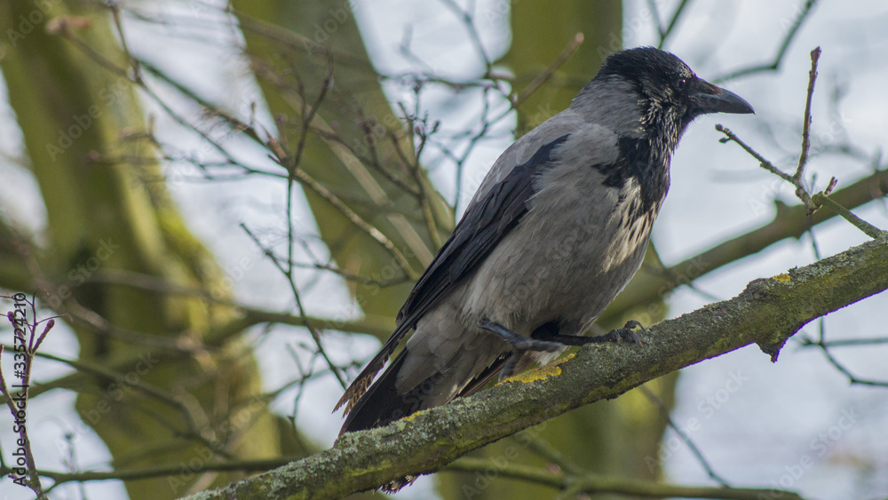 Obraz premium Kanał Bydgoski