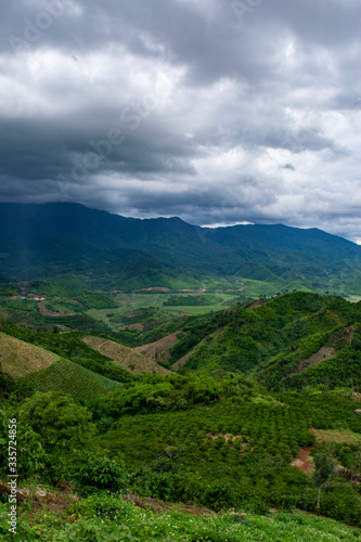 landscape tea plantation bao loc vietnam asia © Matthew