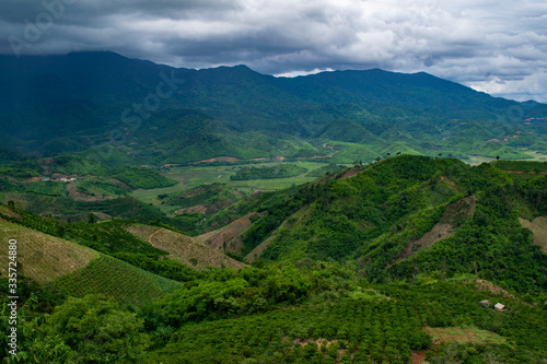 landscape tea plantation bao loc vietnam asia