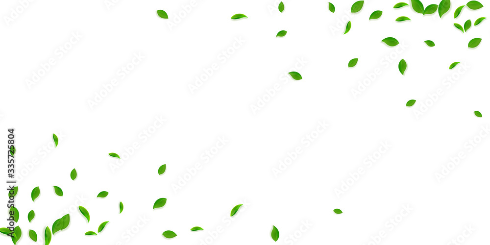 Falling green leaves. Fresh tea chaotic leaves fly Falling green leaves. Fresh tea chaotic leaves fly
