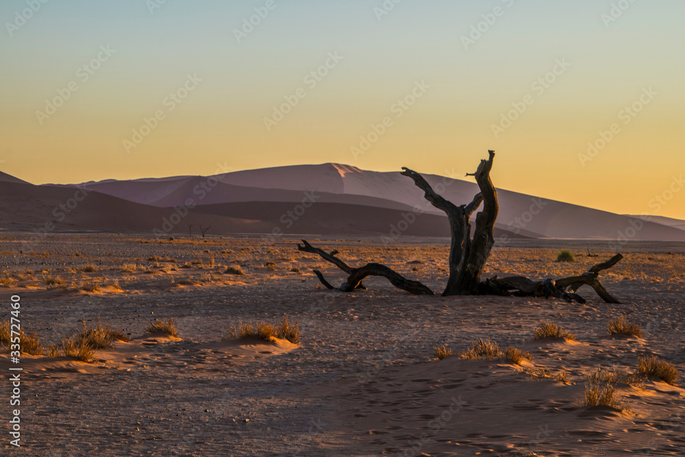 Sunset in the Namibian desert 
