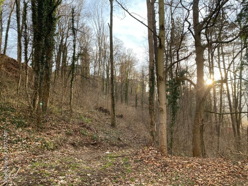Fototapeta Naklejka Na Ścianę i Meble -  footpath in the woods to castle