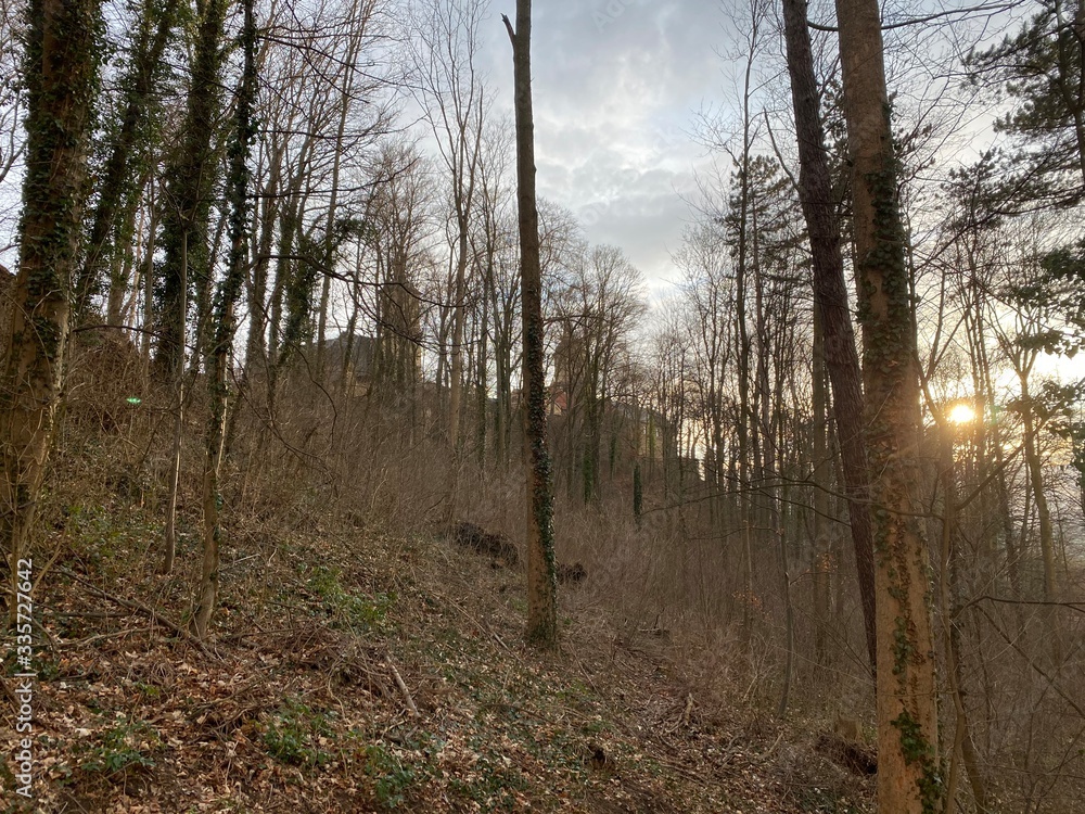 Obraz premium sunset castle